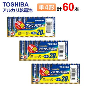  AJdr P4` v60{s20{×3ZbgtLR03L 20MP [ TOSHIBA AJdr Pl` dr hЗpi p ]y[֑z