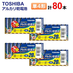  AJdr P4` v80{s20{×4ZbgtLR03L 20MP [ TOSHIBA AJdr Pl` dr hЗpi p ]y[֑z