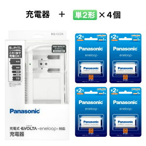 pi\jbN P1` P2` p[di4{[d^Cvj+P1` P2` v4{ Iׂ[drZbg BQ-CC25 BK-1MCD/1 BK-2MCD/1 [ BQCC25 Panasonic P P [dr Gl[v dr [dnyz