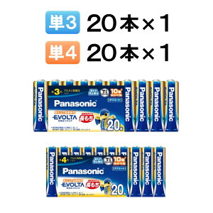 pi\jbN drG{^ P3 P4 gIׂ v40{ ۑ10N [ Panasonic ܂Ƃߔ AJdr P3` PO` P4` Pl` dr hЗpi p ]y[֑z