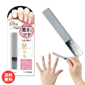 ܂₷ OXlC KX [P[Xt ܖ lCPA GN-040 [X^[ [ LOZENSTAR lC ܃X cX  c     j ]y[֑z