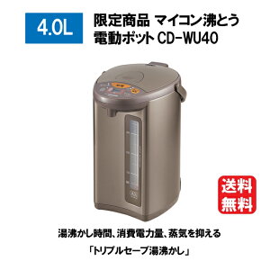 ۈ }CRƂ d|bg 4.0L ^bNuE CD-WU40-TM yz