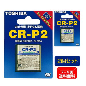 ���� �J�����p���`�E���d�r 1���s2�Z�b�g�t CR-P2G �u���X�^�[�p�b�N �m TOSHIBA �J���� ��჌�t ���{���[�J�[ ���K�i�n�y���[���֑��������z