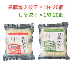 Lq ЂV ܍Lq Lq 40s20×2܃Zbgt [  Bs Yi ܂  Ⓚ Ε ̓ Mtg ]yN[֑z