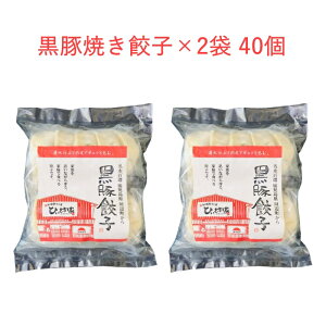 Lq ЂV ܍Lq Lq 40s20×2܃Zbgt [  Bs Yi ܂  Ⓚ Ε ̓ Mtg ]yN[֑z