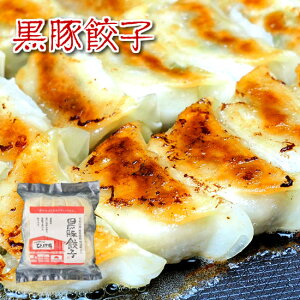 Lq ЂV ܍Lq 20 [  Bs Yi ܂  Ⓚ Ε ̓ ̓ Mtg ]yN[֑z