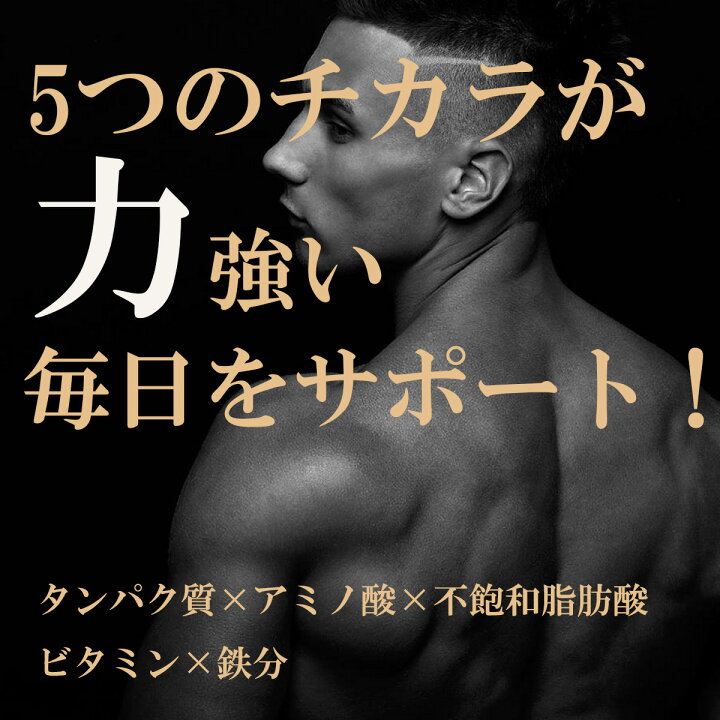 楽天市場】すっぽん サプリメント 高級 すっぽんの力 大王源 250粒 宝 