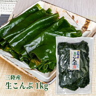 三陸産　生こんぶ1kg　丸ほ保原商店　国産　ヘルシー　ミネラル　海藻　塩蔵