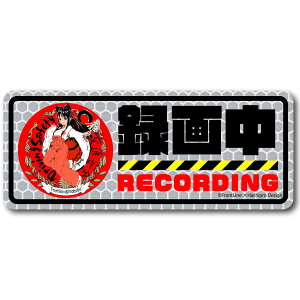 FL-Products n`vfUC hCuR[_[ hR ^]h~  XebJ[ ^撆 hƃJV[ RECORDING ʈS ̊