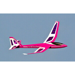 �A���E�B���h99/�s���N�t�B�����t���o���T�L�b�g [CAS-12032](JAN�F4548496120322)