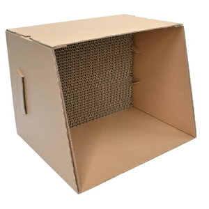 !zr[phu[X [SG-DTBDX](JANF4975406130254)