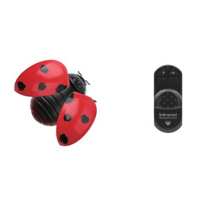 IRC !!V[Y ĂƂ [DK-9922](JANF4975406005903)