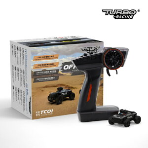 TURBO RACING 1/76XP[ C82ubN It[hJ[ [C82](JANF4573557709918)