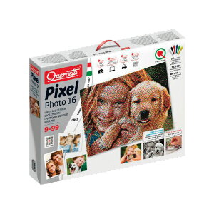 Pixel art photo 16 [P0842](JANF8007905008423)