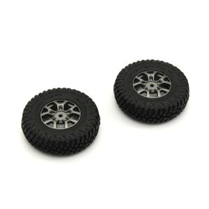 ڒς݃^CEzC[2Zbg XYL Wj[VG [MXTH002](JANF4548565382156)