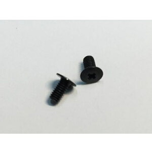 M2.6X5mm �t���b�g�w�b�h�r�X 2�{�� [R31W251](JAN�F4562456365769)