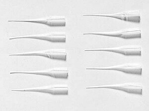 uԐڒ(S^Cp) }CNmY(10{) [OP-580](JANF4950344535804)