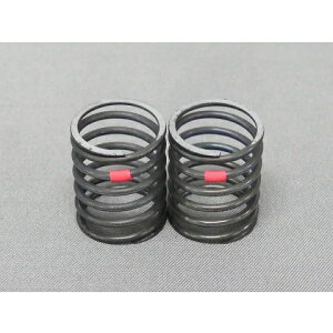 TRF421��p�X�v�����O�\�t�g(��) [JP-802](JAN�F4571102928029)