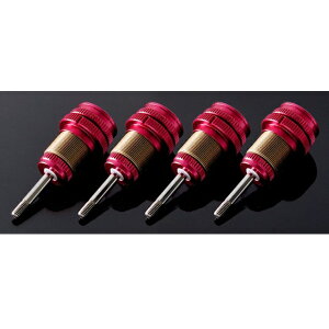 SG�V���b�N3 forRDX/WRAP-UP (red/4pcs) [0797-FD](JAN�F4571344923271)