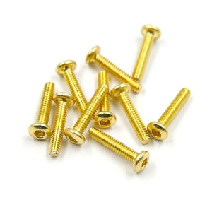 �Z�p�{�^���w�b�h�X�N�����[(M2×10mm)10pcs �X�e�����X�X�`�[���S�[���h���b�L [SHP-210GD](JAN�F4894711068307)
