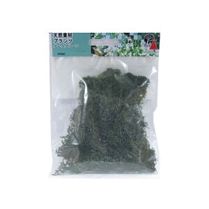 VRfރvc _[NO[ [24-555](JANF4949727680958)