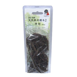 VRfގ2 ъ [24-558](JANF4949727680989)