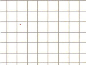 [11709] Ðms NDP9 ^C` 150 zCg (JANF4957265117096)