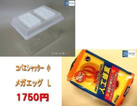 楽天市場 人工 蛹 室の通販