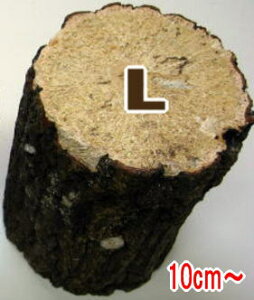 NkMEiY LTCY1{