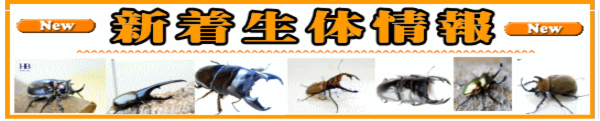新着生体