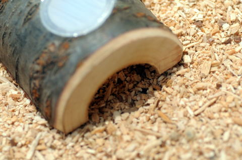 昆虫の餌場 選択 隠れ家 お得クーポン発行中 トンネル型 とまり木 天然木使用 ゼリー装着穴1個
