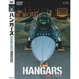バナプル ハンガーズHANGARS JASDF F-2 A/B DVD