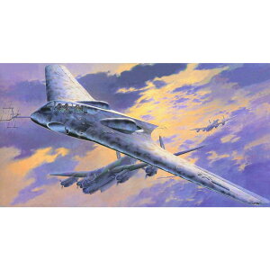 hS 1/48 WW.II hCcR ze Ho229B Ԑ퓬@^ vf DR5511