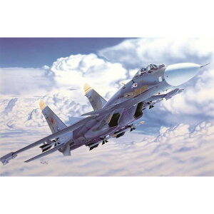 C^ 1/72 VACR Su-33 V[tJ[ vf IT0197