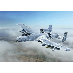 C^ 1/48 AJR A-10C ubNXl[NX vf IT2725