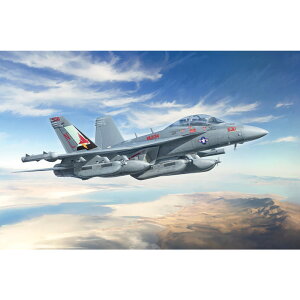 C^ 1/48 EA-18G OE[ AJCR VFQ-134/VFQ-137/I[XgAR 6s 100NLOh@ vf IT2824