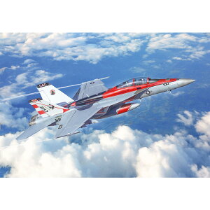 C^ 1/48 AJCR F/A-18F X[p[z[lbg XyV}[LO vf IT2823