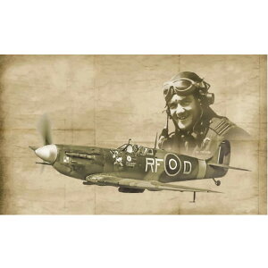 C^ 1/72 WW.II CMXR Xsbgt@CAMk.V/Mk.IX G[X vf IT1482