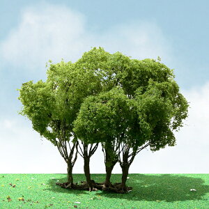 JTT ip C{^mL̖ (7.6cm`8.8cm) HOXP[ i1{jJTT92303