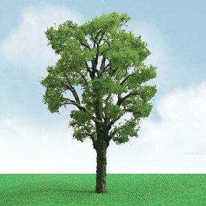 JTT ip I̖ (8.8cm`10cm) HOXP[ (2{) JTT92308