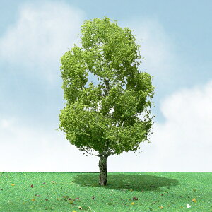 JTT ip ̖ (8.8cm`10cm) HOXP[ (2{) JTT92309