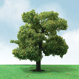 JTT ip v^iX̖ (8.8cm`10cm) HOXP[ (2{) JTT92310