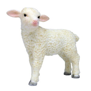 �v���b�c/MOJO My Little Zoo-�ڂ��� �킽���� �Ă̂Ђ瓮����- �����t�B�M���A �q�c�W(�q) MJP387098