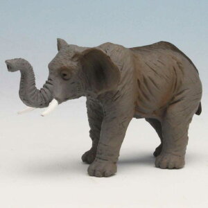 Aj}vlbg uX^[~jtBMA V[Y ]E APM387407