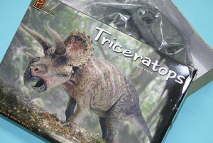 yKTXzr[ 1/24 gPgvX PH9550