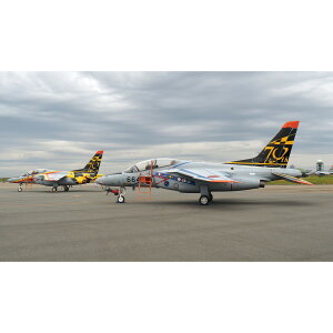 vbc 1/100 q󎩉q T-4 GAtFX^l 70NLOh@ 2@Zbg vf BLU-9