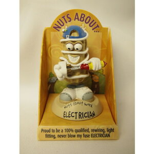 ナッツアバウトワーク 電気技術者