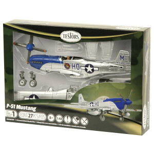 eX^[ 1/48 WW.II AJR 퓬@ P-51 }X^O TE890001