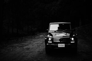 ZfXxc GNX Qf AMG G63 G550 G350d W463^ JX^ A[gpl A[gt[ Ǌ| CeA artmart A[g}[g A[g|X^[ A[g{[h t@ubNpl