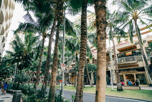 A[gpl A[gt[ Ǌ| CeA artmart A[g}[g A[g|X^[A[g{[hAt@ubNplŕɁI_ AeB[N k  C G ʐ^ |